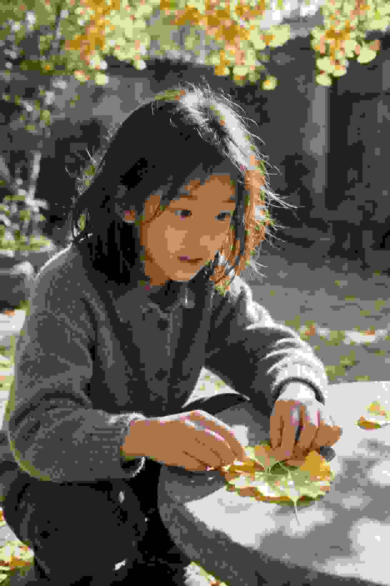 作品封面